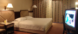 Room Amenities