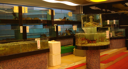 Seafood_Restaurant
