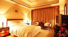 Dragon Pearl Hotel Guangzhou Single Room