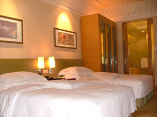 Dragon Pearl Hotel Guangzhou Standard Twin Room