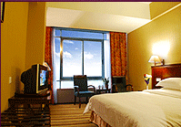 Deluxe_Single_Room
