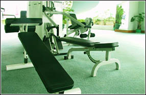 Sports & Recreation