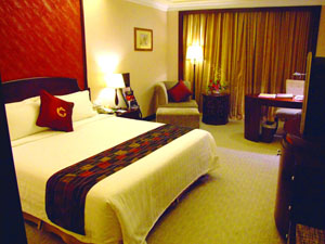 Deluxe Single Room