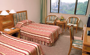 Business_Twin_Room