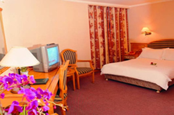 Superior Suite
