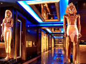 Night_Club