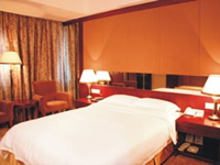 Deluxe King-size Room